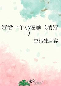 嫁给一个小佐领（清穿）